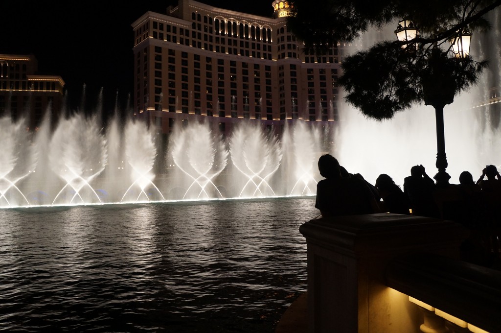 Dreams of Velvet- Bellagio Fountain